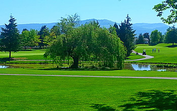 View of grounds